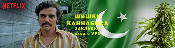 бошки Медвежьегорск