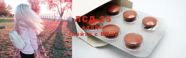 бошки Медвежьегорск