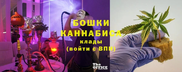 индика Приозерск
