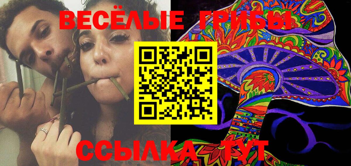 Псилоцибиновые грибы Psilocybe  Вход с VPN  Муром  Галлюциногенные грибы MAGIC MUSHROOMS 