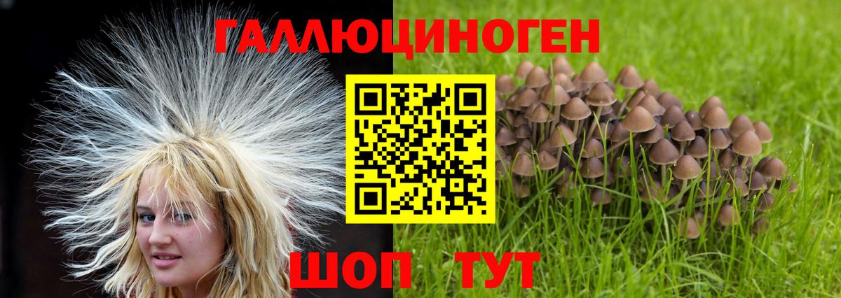 Галлюциногенные грибы мухоморы Муром