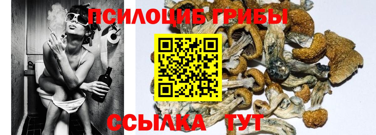 Псилоцибиновые грибы MAGIC MUSHROOMS  Муром 