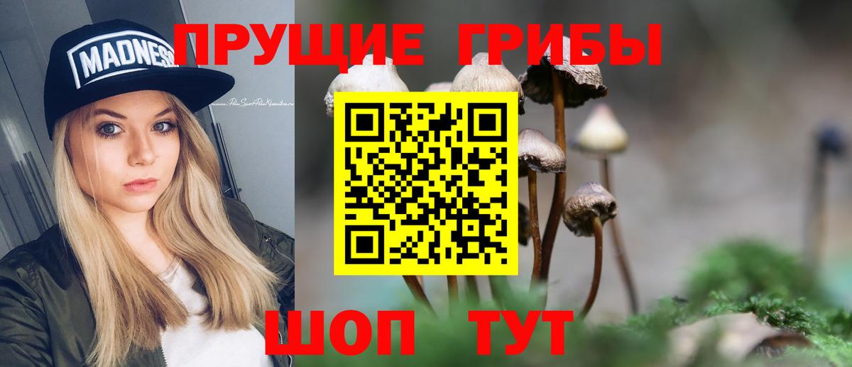 Галлюциногенные грибы GOLDEN TEACHER Муром