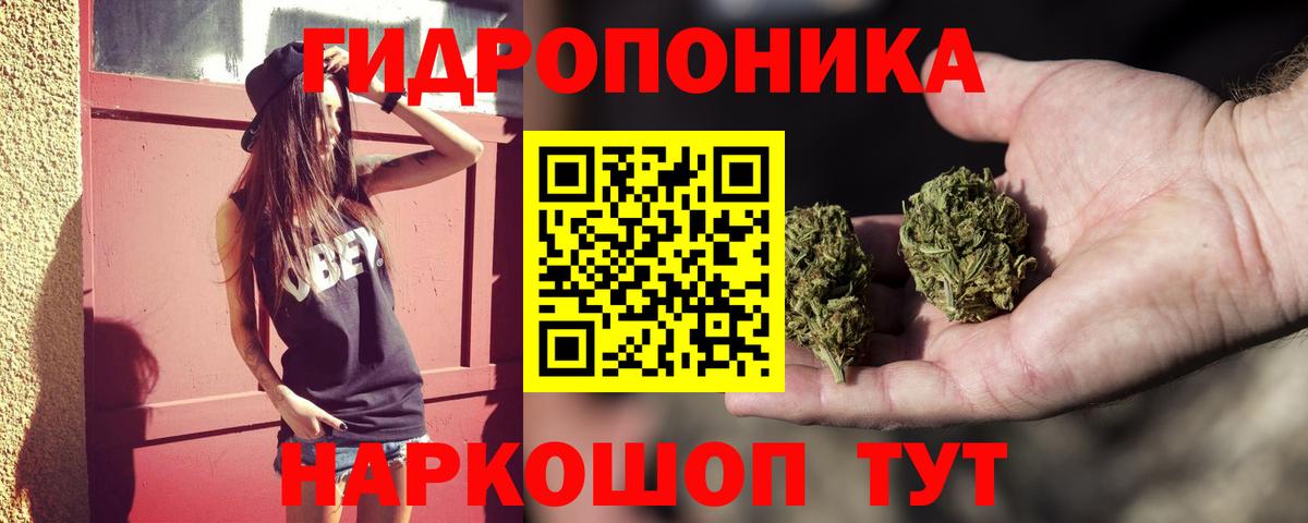 Бошки марихуана план  Вход с VPN  Конопля Ganja  Муром  Канабис конопля 